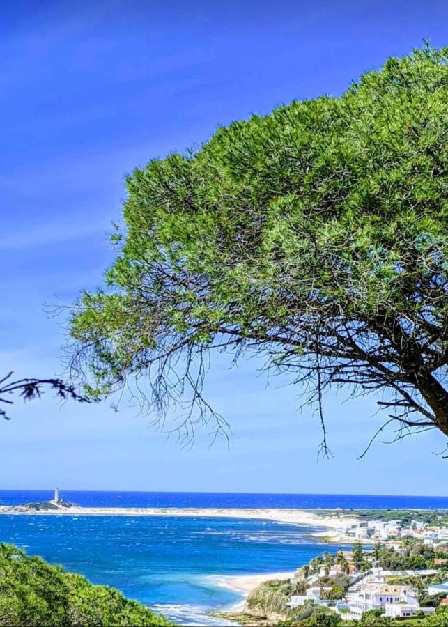Finca El Abuelo Manuel Vejer de la Frontera Dış mekan fotoğraf
