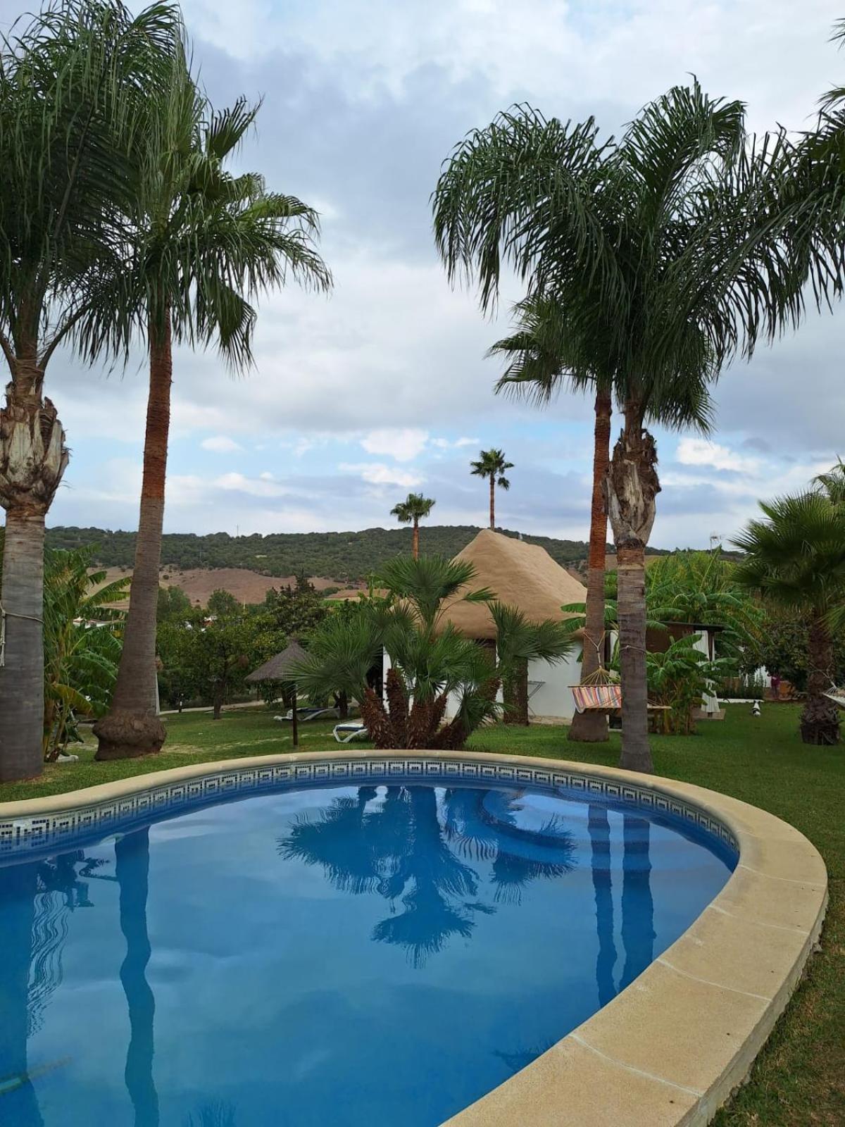 Finca El Abuelo Manuel Vejer de la Frontera Dış mekan fotoğraf